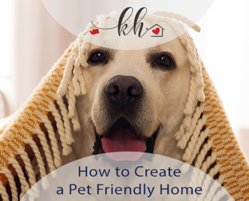 Create a Pet Friendly Home